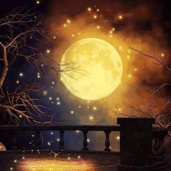 ночь волшебная