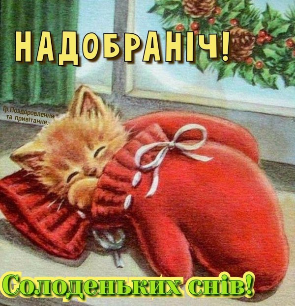 доброе утро зимние котики