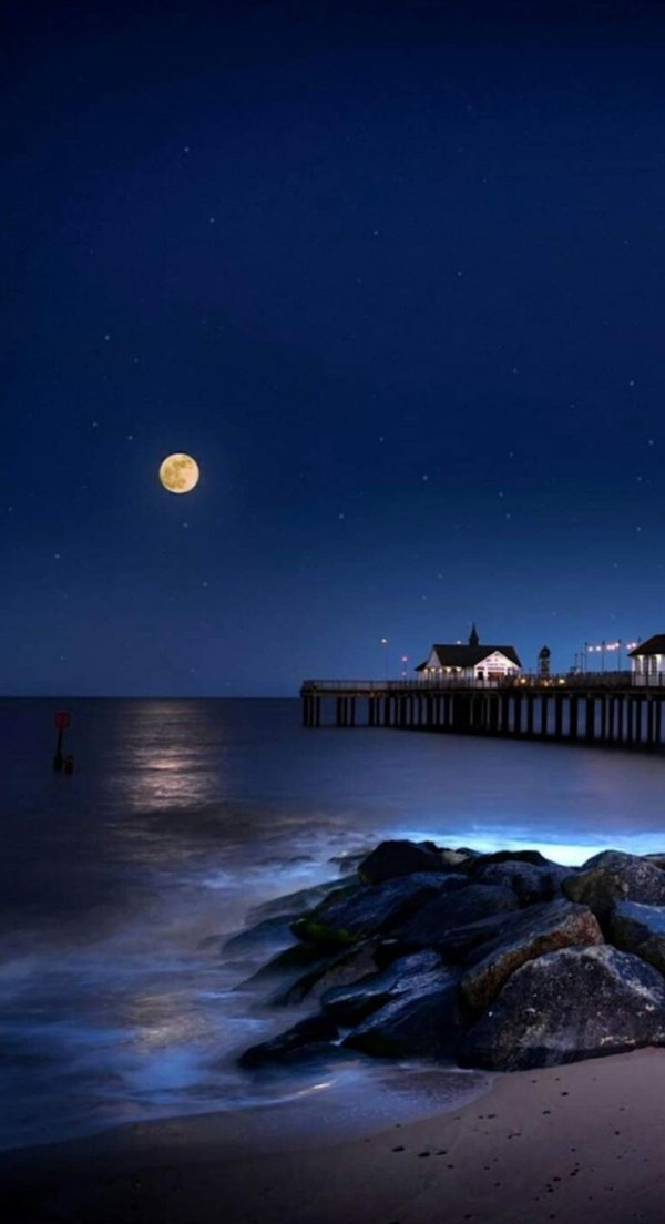 a pier at night