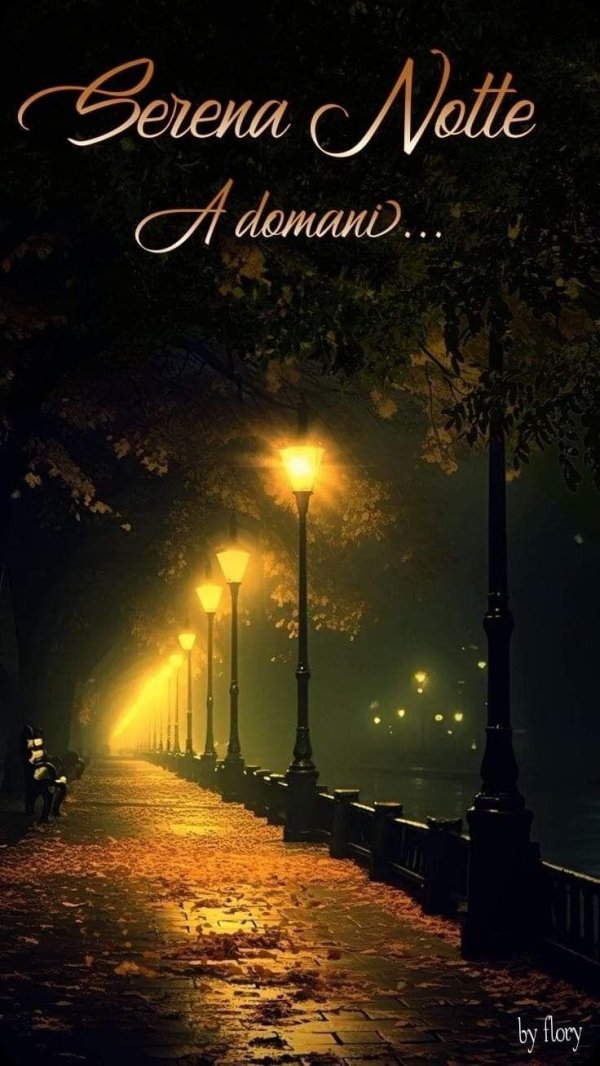 buona notte