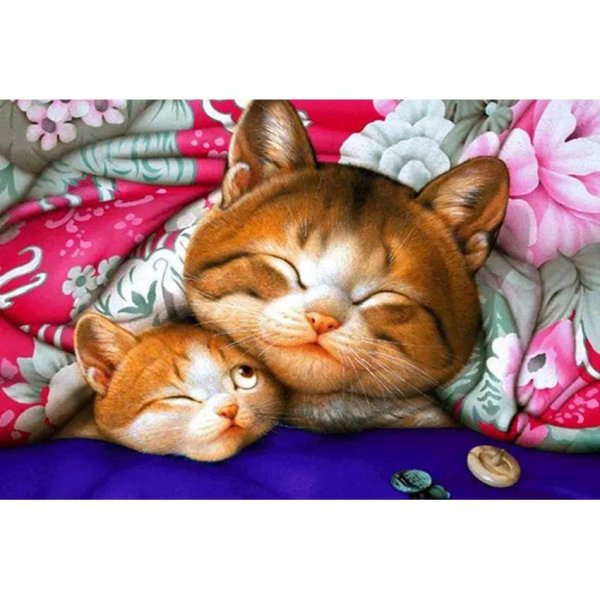 коты макото мурамацу