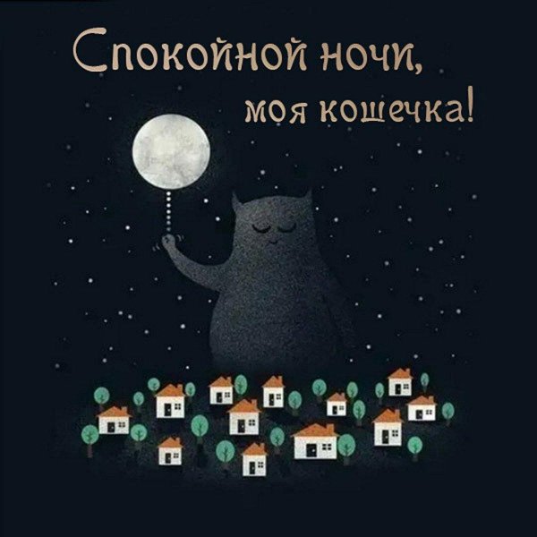 доброй ночи кошечка