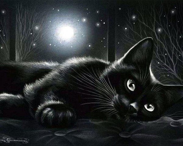 кошки ирины гармашовой