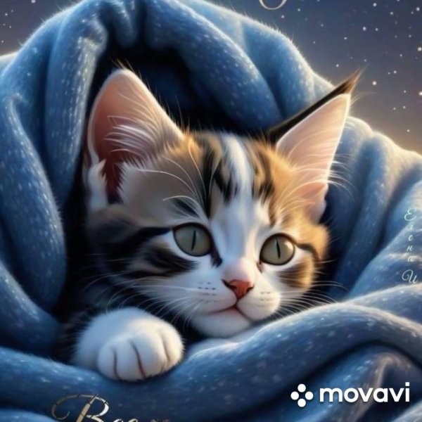 сладких сновидений