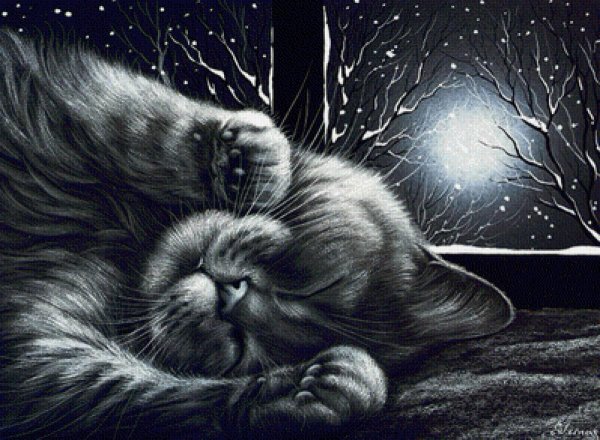 кошки ирины гармашовой