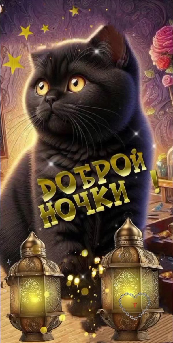 добрая ночь