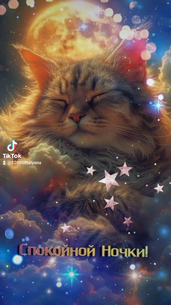 котик доброй ночи