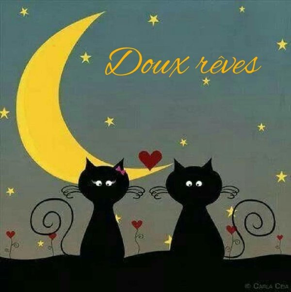 влюбленные коты ночью рисунок