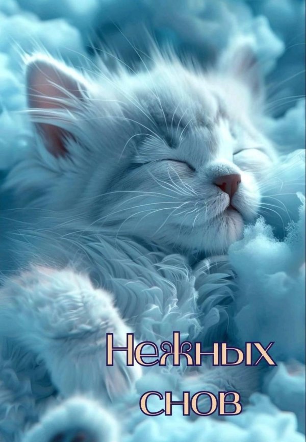 спокойная ночи