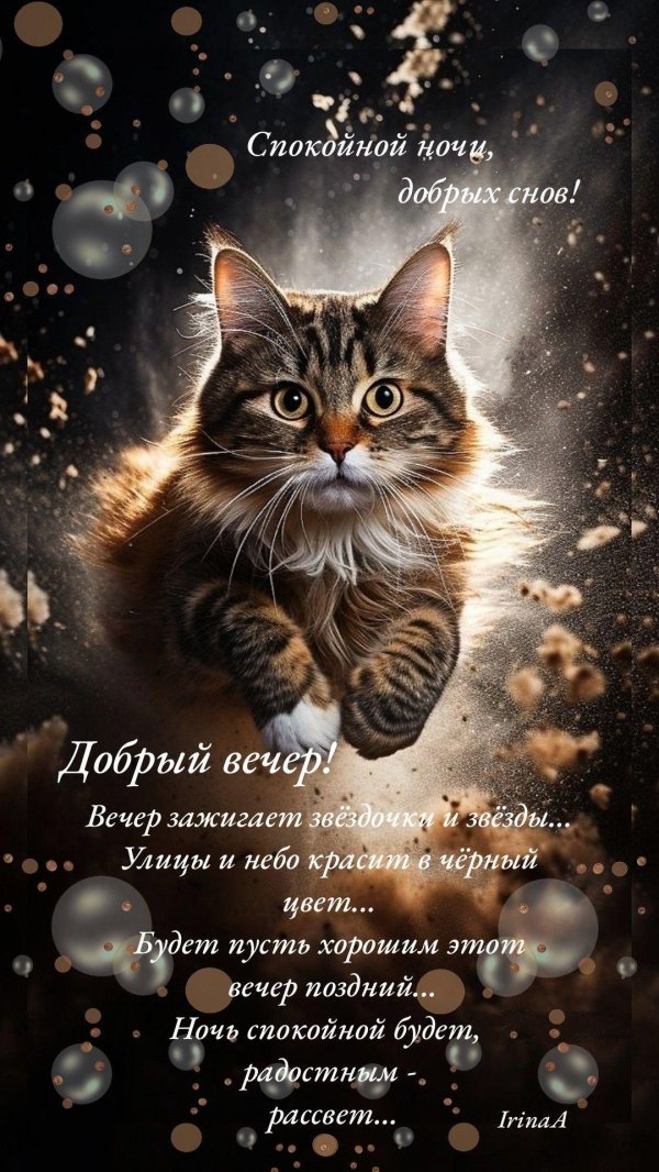 спокойной ночи доброго вечера