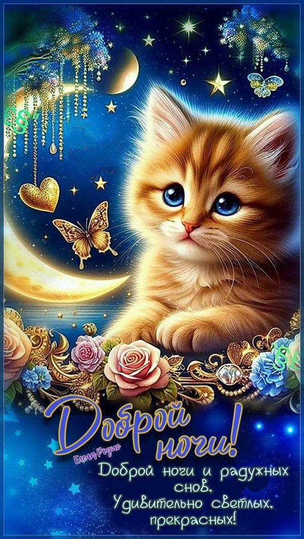 ночи доброй