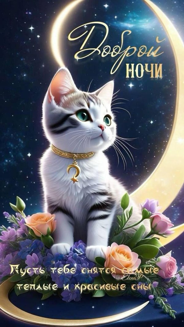 доброй рабочей ночи