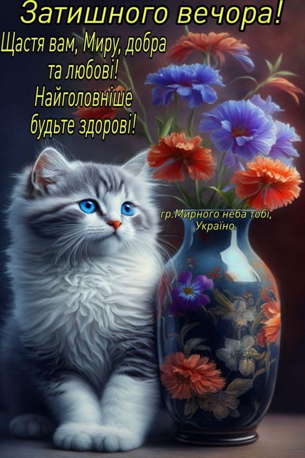 очаровательные котята