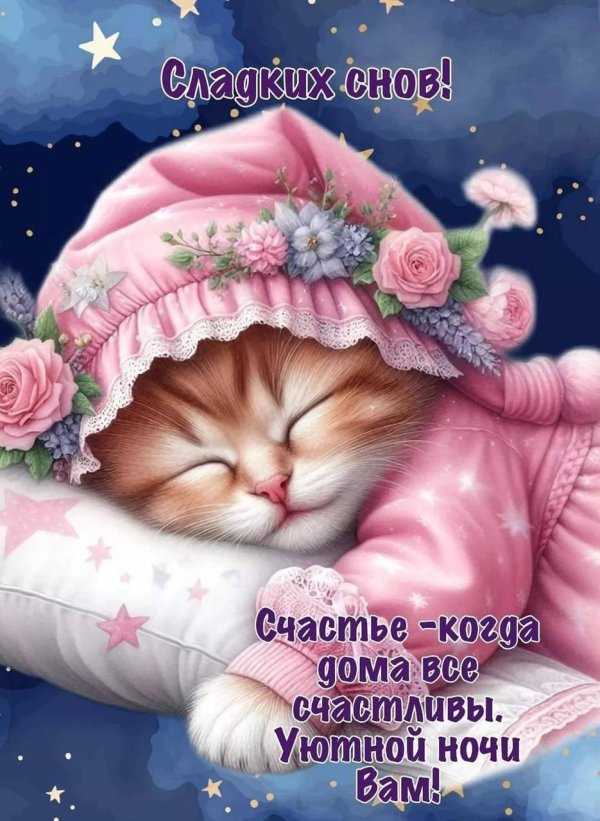 сладкие сны