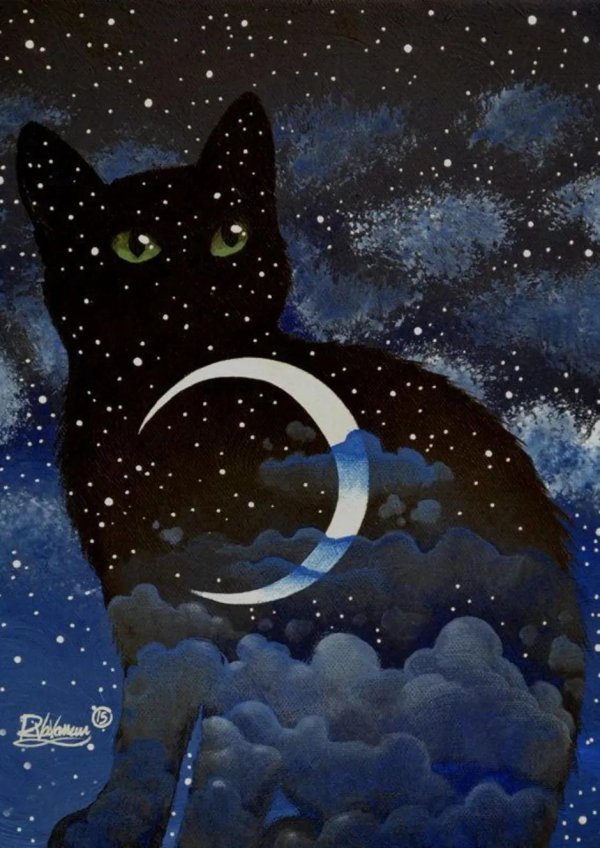 рафаэль вавассер