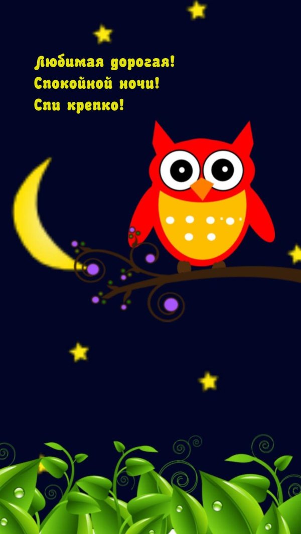 дорогая спокойной ночи