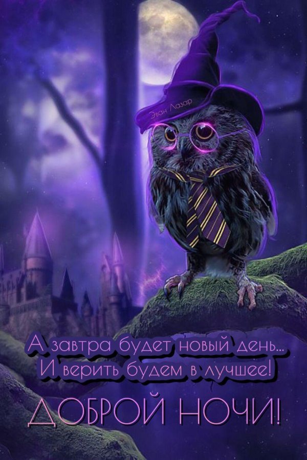 ночная соваnight owl1993