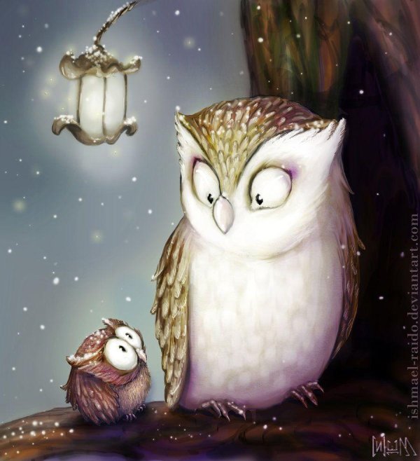 милые совы