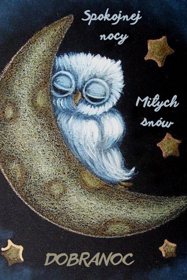 доброй ночи совушка