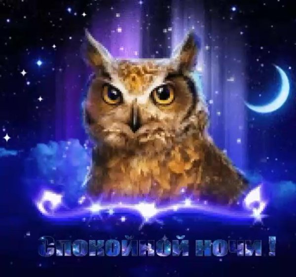 доброй ночи совушка