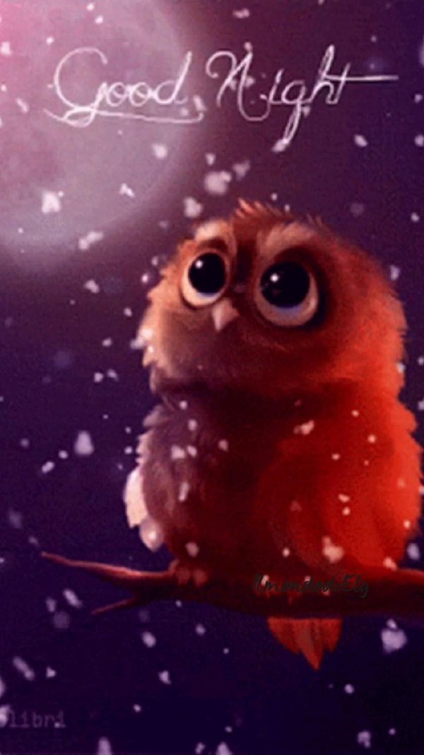доброй ночи совушка
