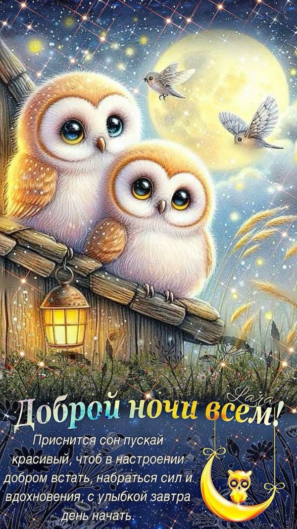 Доброй ночи с совой
