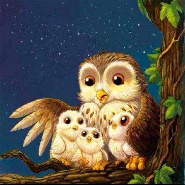 милые совята