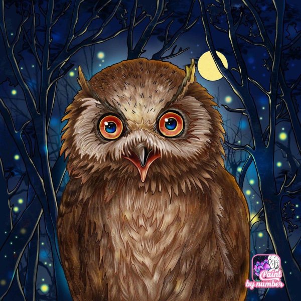 совы лиа селина