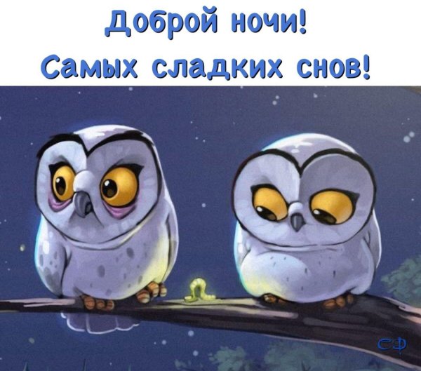 совы мультяшные