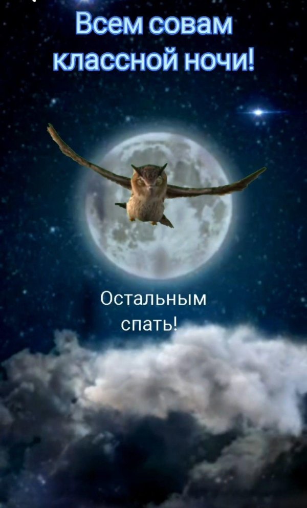 добрая ночь