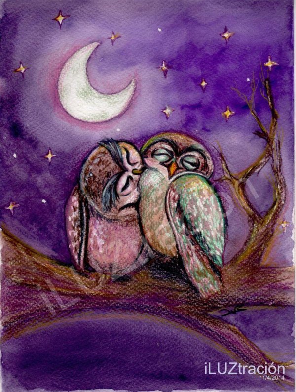 совушки обнимаются