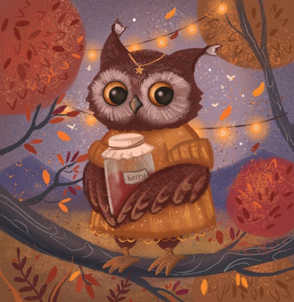 красивые совушки