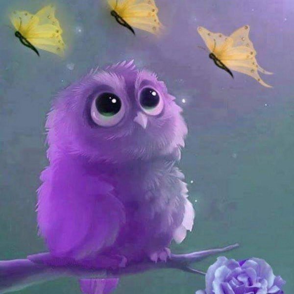 милые совята