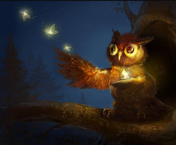 ночная соваnight owl1993