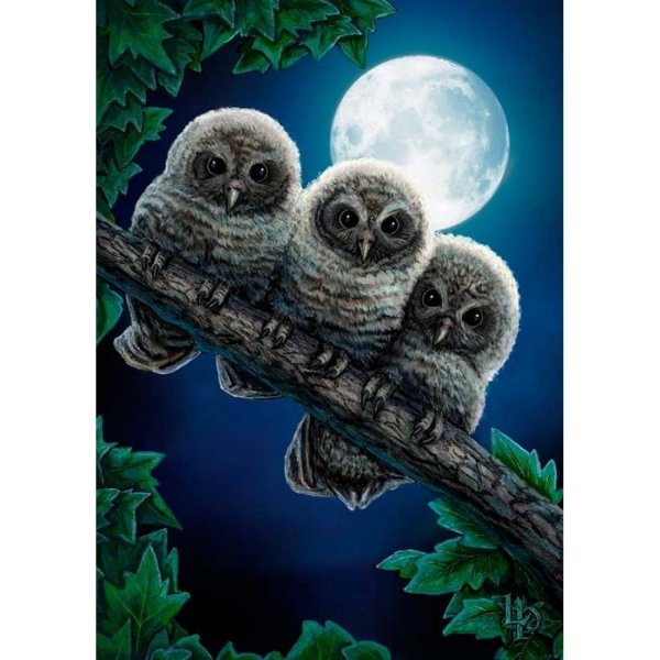 алмазная вышивка совята