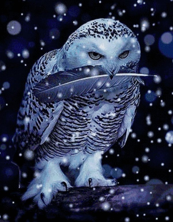 ночные совы алмазная живопись