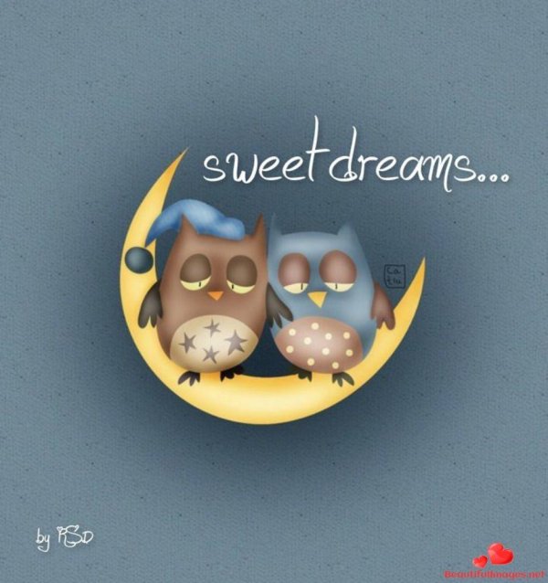 доброй ночи совушки