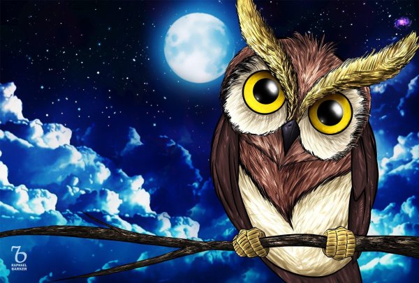 ночная соваnight owl1993