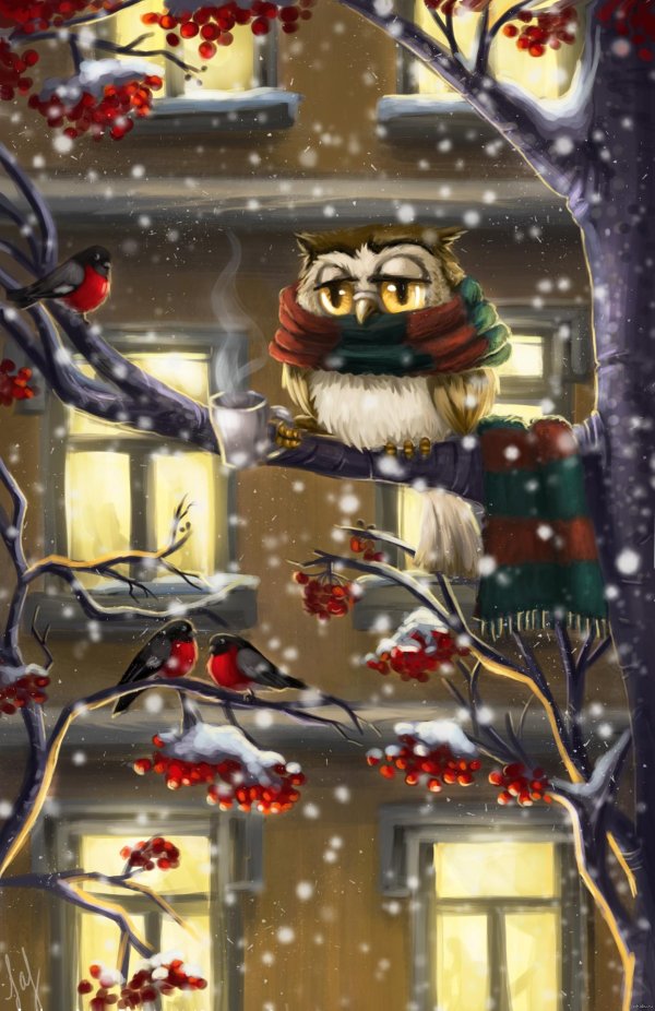 новогодние совы