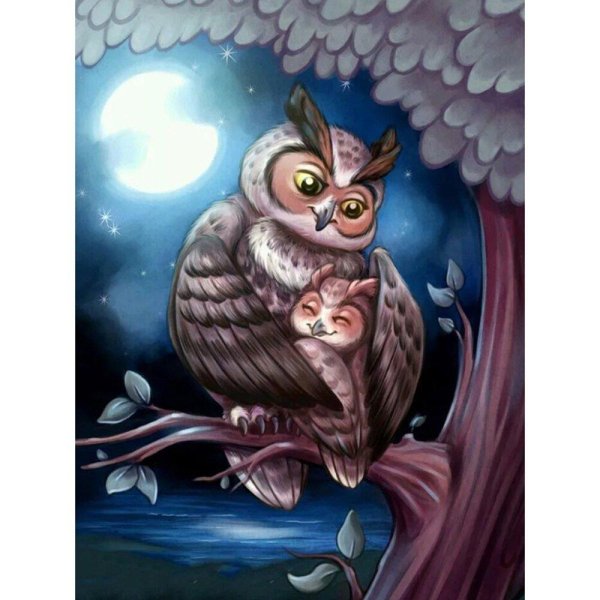 красивые рисунки совы