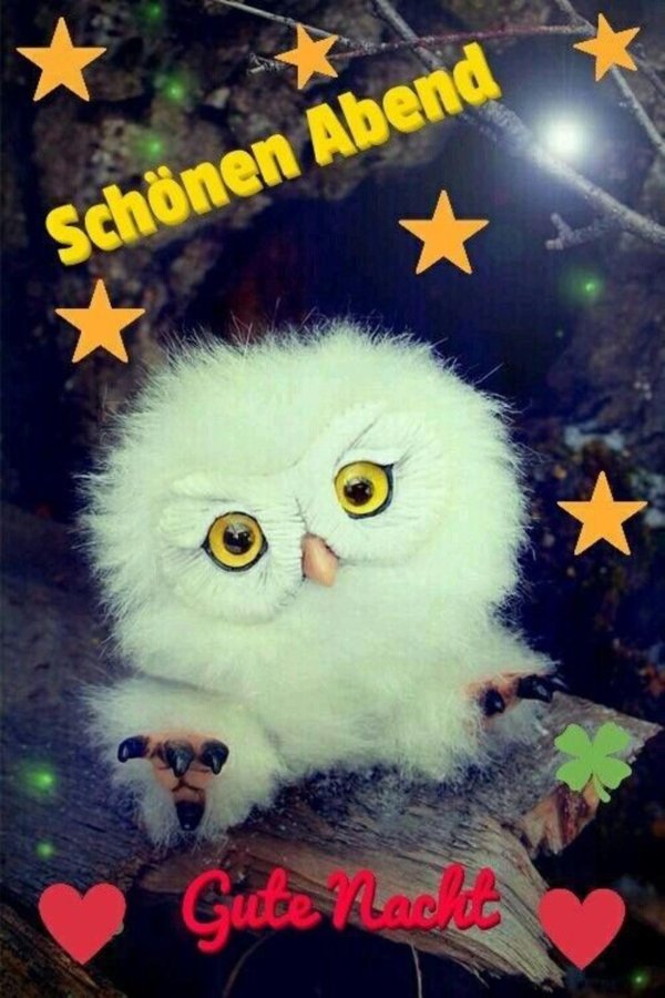 сова пушистая