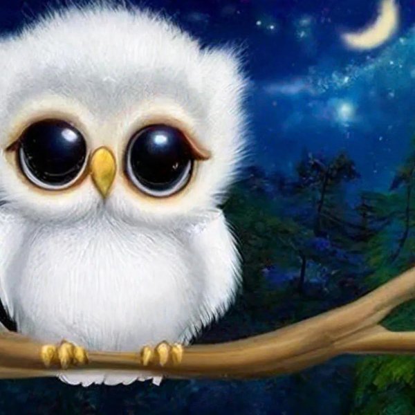 совенок белый