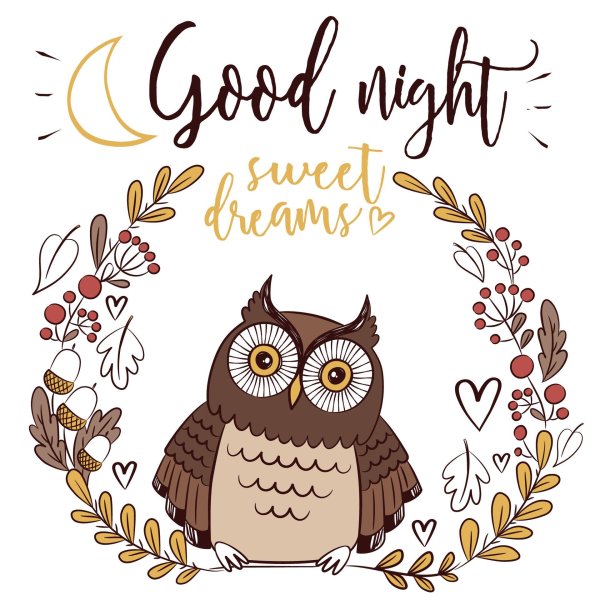 good night owl