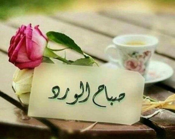 добрый день на арабском языке