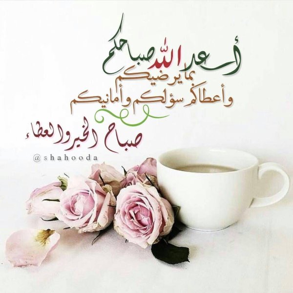 arabic good morning