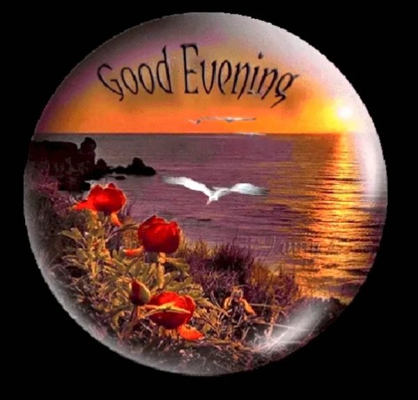 good evening анимации