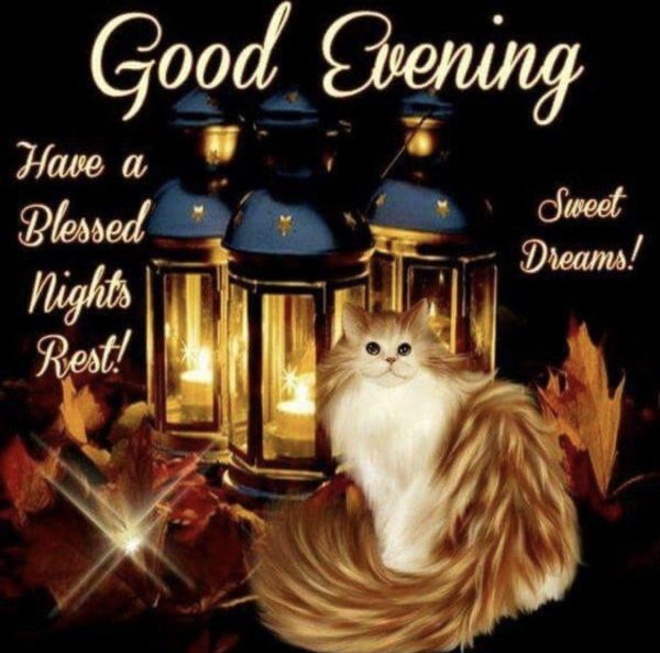 good night sweet dreams