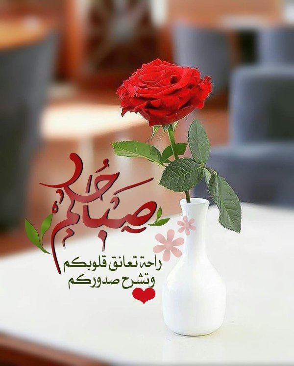 цветы утро аллах