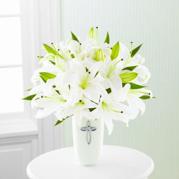 лилия кустовая белая