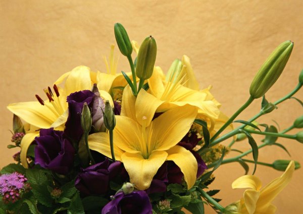 букет лилии